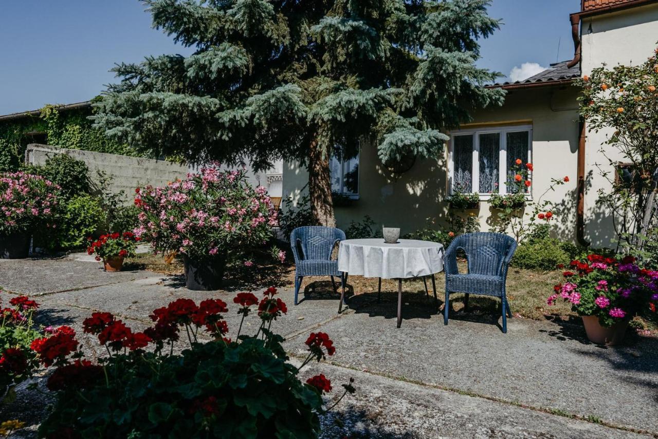 Das Kleine Haus Breitenbrunn  Exteriér fotografie